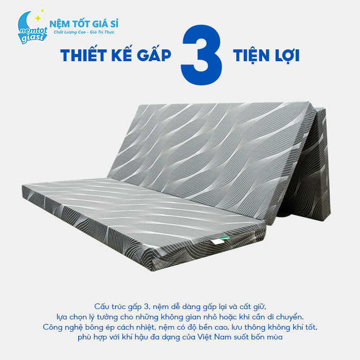 Nệm Tốt Giá Sỉ - Nệm Bông Ép Homely 5